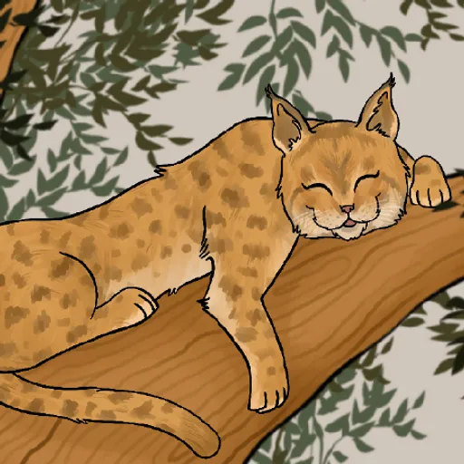 Loïc Boutter (lazybobcat)