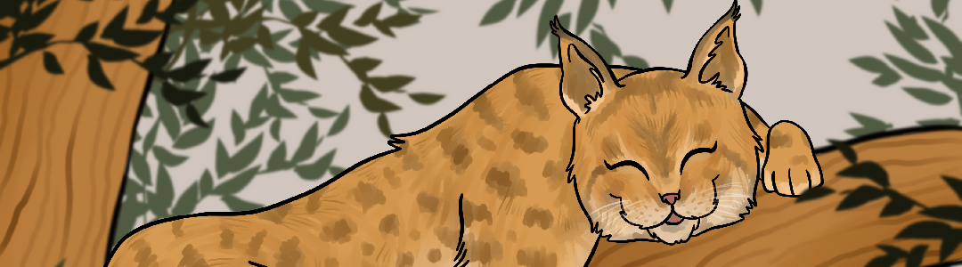 Banière de séparation